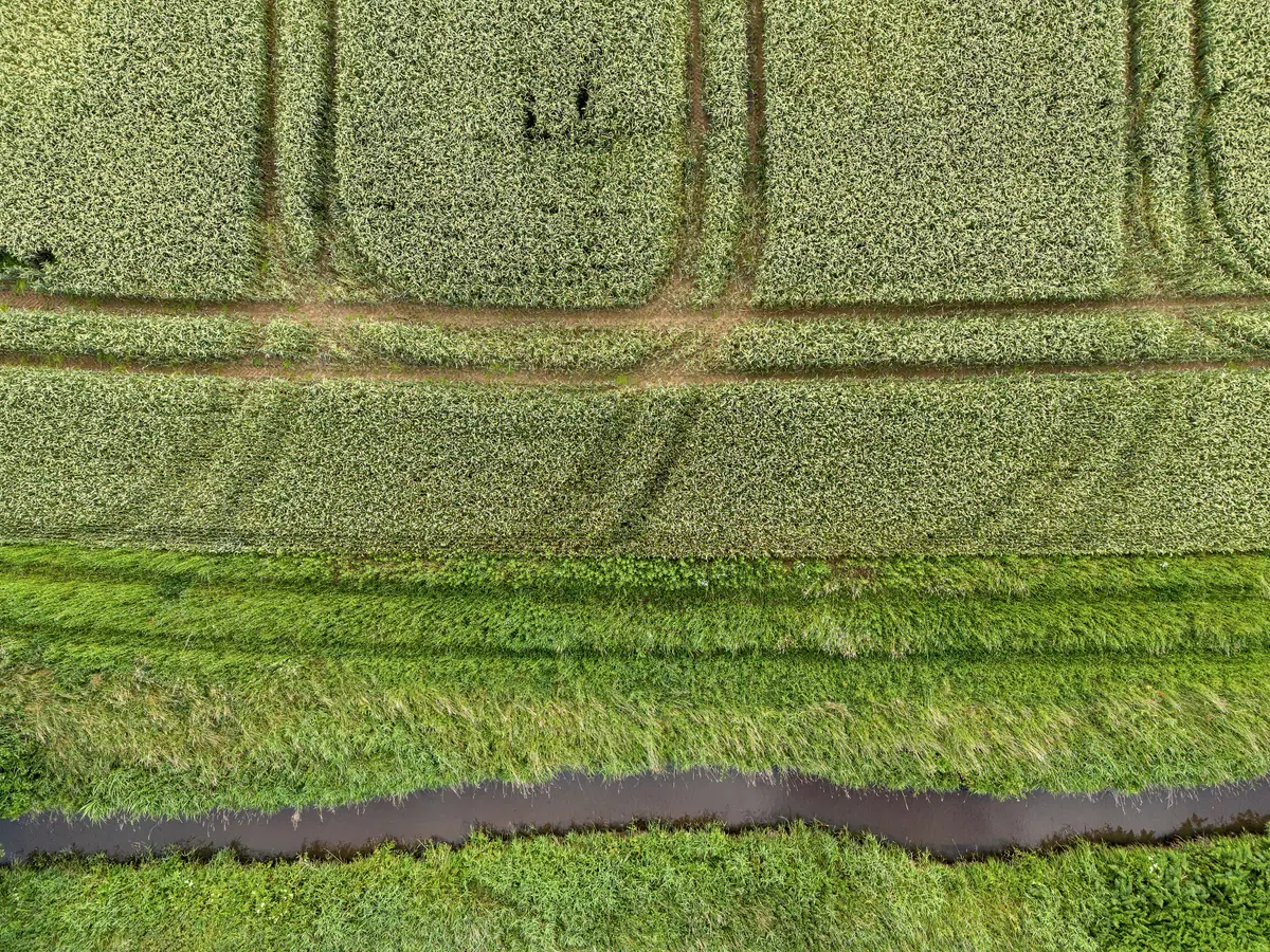 Agriculture